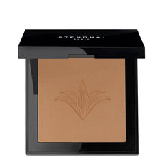 Stendhal Perfecting Compact Powder 131 Ambre