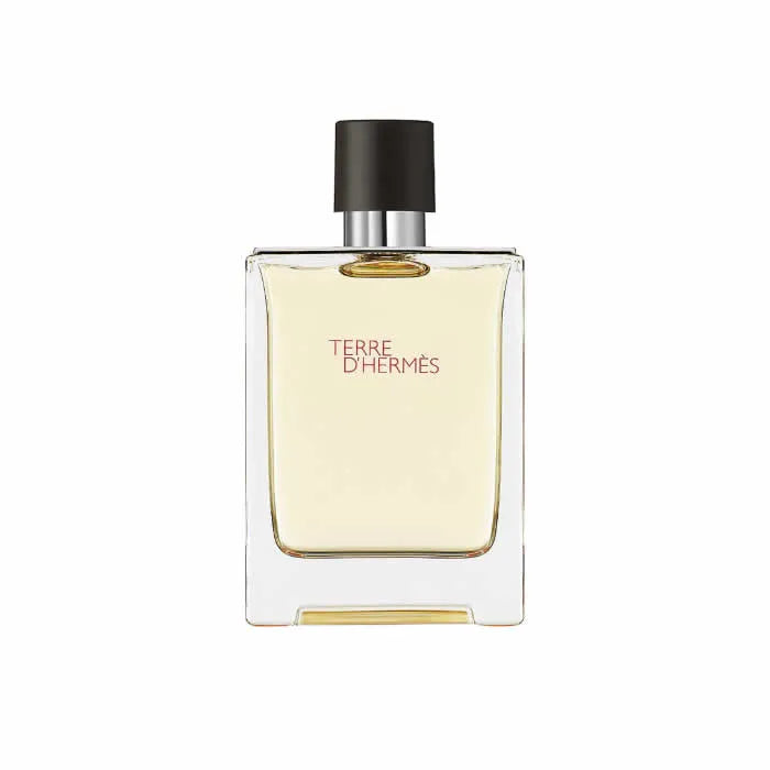 Hermes Terre D'hermes Eau De Toilette Spray