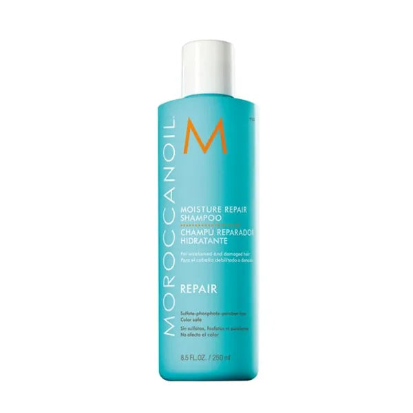 Repair Moisture Repair Shampoo