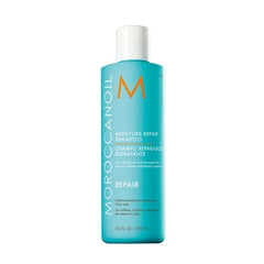 Repair Moisture Repair Shampoo