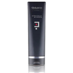 Salerm Cosmetics Homme Controle Exfoliant Anti-Dandruff Shampoo
